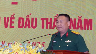 Tập huấn nghiệp vụ chuyên môn về đấu thầu và công tác quản lý dự án, giám sát đánh giá đầu tư