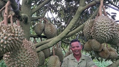 Nâng cao thu nhập - mục tiêu xuyên suốt trong xây dựng nông thôn mới