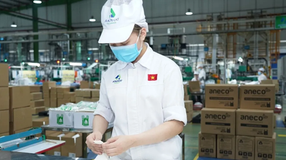 Dự kiến nhiều quy định mới về trách nhiệm nhà sản xuất liên quan thải bỏ, tái chế sản phẩm