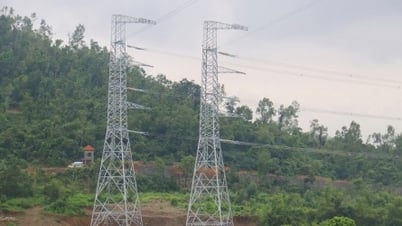 9월 2일 국경일 이전에 500kV 라오까이-빈옌 송전선 프로젝트를 완료하기 위해 모든 노력을 기울이고 있습니다.