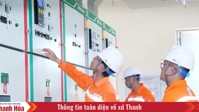 Công ty Điện lực Thanh Hóa nâng cao hiệu quả kinh doanh, chất lượng dịch vụ khách hàng