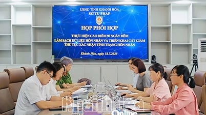 Khánh Hòa hoàn thành rà soát, cập nhật dữ liệu hôn nhân trên địa bàn tỉnh