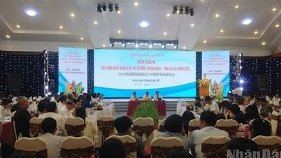 Gia Lai đẩy mạnh xúc tiến xuất khẩu vào thị trường Trung Quốc