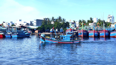 Hoài Nhơn Bắc đầu tư xây dựng kết cấu hạ tầng một cách đồng bộ