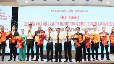 Công nghệ mở đường cho nông sản Gia Lai vào Trung Quốc