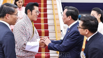 Quốc vương Bhutan và Hoàng hậu bắt đầu thăm cấp Nhà nước tới Việt Nam