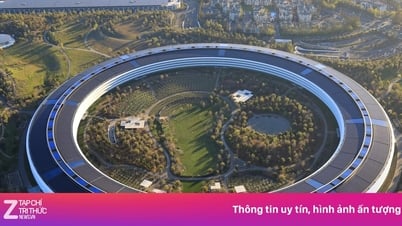 Apple 'thay máu'