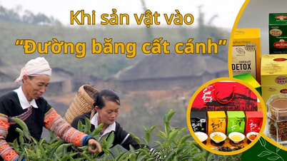 Khi sản vật vào “đường băng cất cánh”