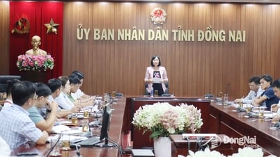 Đồng Nai tiếp tục tháo gỡ vướng mắc về vật liệu xây dựng cho các dự án trọng điểm phía Nam