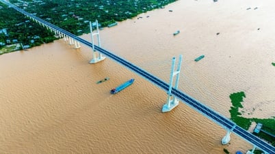 Ngắm cầu Rạch Miễu 2 trước ngày thông xe