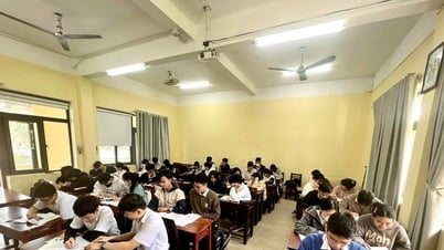 Xếp lớp theo năng lực và sở thích của học sinh
