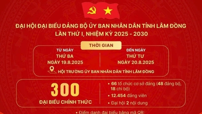 Đại hội đại biểu Đảng bộ UBND tỉnh Lâm Đồng lần thứ I diễn ra trong các ngày 19 và 20/8