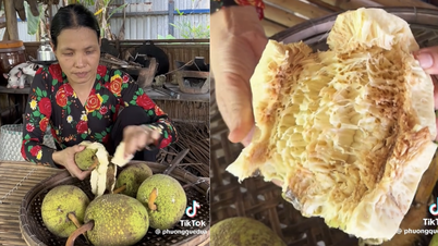 Ăn trái sa kê chín thành 'trend' mạng xã hội: Vị ra sao mà nhiều người tò mò?
