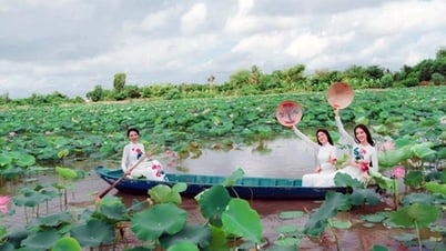 Quảng bá bản sắc văn hóa vùng đất sen hồng