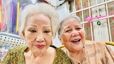 Bốn nghệ sĩ về chiều bị mất trí nhớ: Bi kịch lặng lẽ sau ánh hào quang