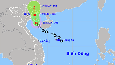 Áp thấp nhiệt đới gây gió mạnh trên vùng biển Khánh Hòa