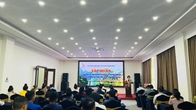 Tin khai mạc Lớp tập huấn kỹ năng đón tiếp, phục vụ khách du lịch tại các mô hình homestay trong hoạt động du lịch nông thôn, du lịch cộng đồng năm 2025