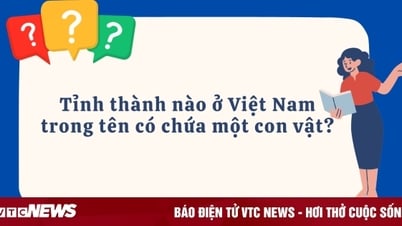 Tỉnh thành nào ở Việt Nam trong tên có chứa một con vật?
