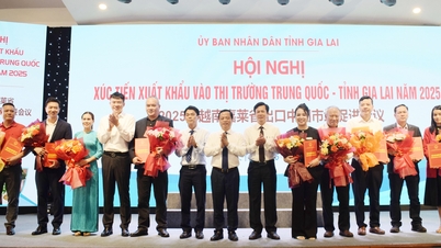 Hội nghị Xúc tiến xuất khẩu vào thị trường Trung Quốc – Tỉnh Gia Lai năm 2025