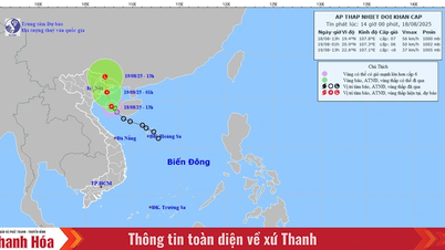Áp thấp nhiệt đới cách đặc khu Bạch Long Vĩ khoảng 70km, giật cấp 9
