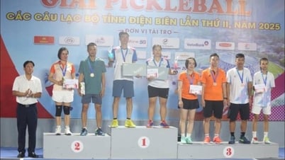 Bế mạc Giải Pickleball các CLB tỉnh Điện Biên lần thứ II, năm 2025