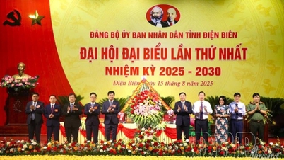 Đại hội đại biểu Đảng bộ UBND tỉnh Điện Biên lần thứ nhất, nhiệm kỳ 2025-2030