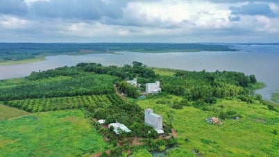 Đồng Nai: Lấy ý kiến quy định diện tích đất xây dựng công trình phục vụ sản xuất nông nghiệp