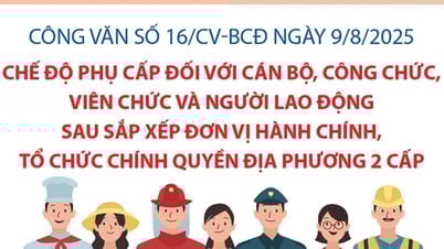 Quy định về chế độ phụ cấp đối với cán bộ, công chức, viên chức và người lao động sau sắp xếp