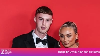 Bạn gái cũ Palmer mặc váy xẻ ngực táo bạo đầy ẩn ý