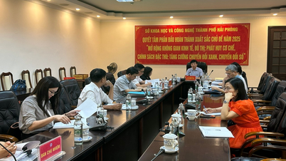 Xây dựng mô hình sản xuất dưa chuột VC09 theo hướng VietGAP trên địa bàn tỉnh Hải Dương (thành phố Hải Phòng)