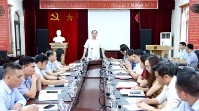 Chuẩn bị tốt các điều kiện khởi công dự án Khu công nghiệp Nam Bình Xuyên