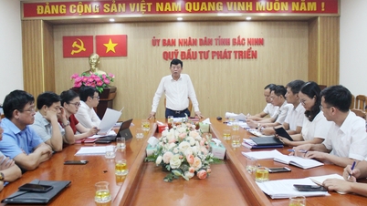 Bảo toàn, phát huy hiệu quả nguồn vốn từ Quỹ Đầu tư phát triển