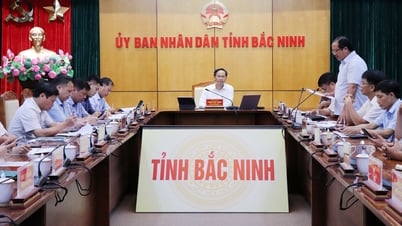Bắc Ninh: Đẩy mạnh sản xuất theo tiêu chuẩn an toàn, mở rộng thị trường xuất khẩu