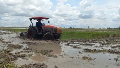 Nông dân vệ sinh đồng ruộng, đón nhận phù sa từ mùa nước nổi