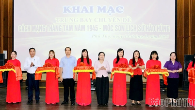 Trưng bày chuyên đề “Cách mạng Tháng Tám năm 1945 - Mốc son lịch sử hào hùng” tại Bảo tàng Hùng Vương