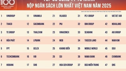 100 doanh nghiệp tư nhân dẫn đầu PRIVATE 100 nộp ngân sách 244.400 tỷ đồng