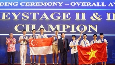 Kỳ thi toán học quốc tế 2025: Đội Việt Nam và Singapore vô địch toàn đoàn