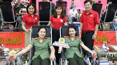 Khan hiếm giọt hồng thắm cứu người
