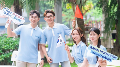 Du học Hàn Quốc tiết kiệm với chương trình 2+2 giữa ĐH Phenikaa và ĐH Yeungnam