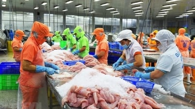 Nghịch lý ngành cá tra: 'Vua' xuất khẩu nhưng 'lép vế' trên sân nhà