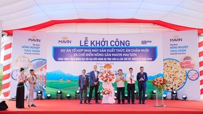 ماوین ساخت مجتمع کشاورزی 350 میلیارد دانگ ویتنامی را در سون لا آغاز کرد.