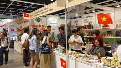 Promoting Vietnamese products at the Hong Kong Food Expo