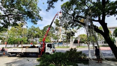 Chủ động thực hiện các biện pháp phòng tránh, khắc phục hậu quả thiên tai 