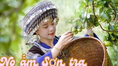 No ấm sơn tra