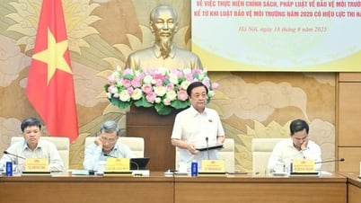 Còn 24 khó khăn, vướng mắc liên quan đến Luật Bảo vệ môi trường