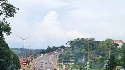 Họ đang đi “làm cách mạng” đó