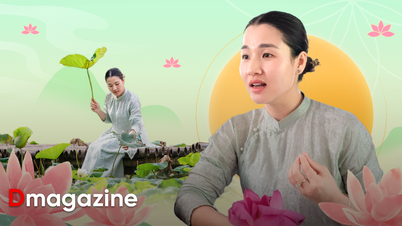 Hoa sen vươn mình giữa đất cằn để những miền quê Việt thêm nhà lầu, xe hơi