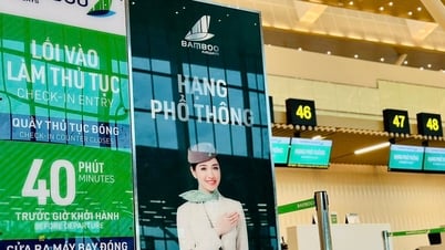 Tân CEO Bamboo Airways hé lộ hướng đi mới cùng nhà đầu tư