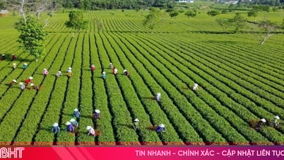 ADB mong muốn xây dựng mô hình du lịch "chữa lành" tại Hà Tĩnh
