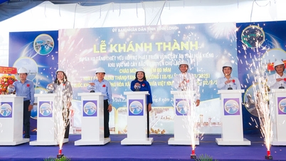 Khánh thành Dự án hạ tầng thiết yếu hỗ trợ phát triển vùng cây ăn trái, hoa kiểng khu vực Mỏ Cày Bắc, Chợ Lách